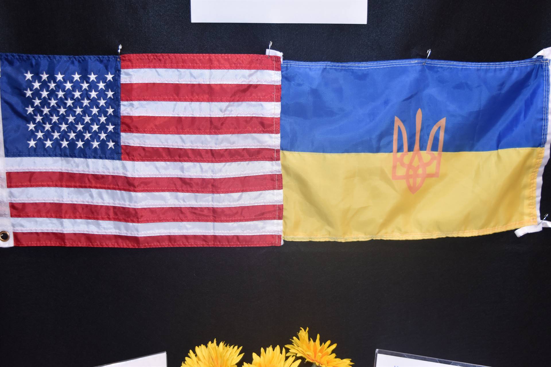 usa and ukraine flags